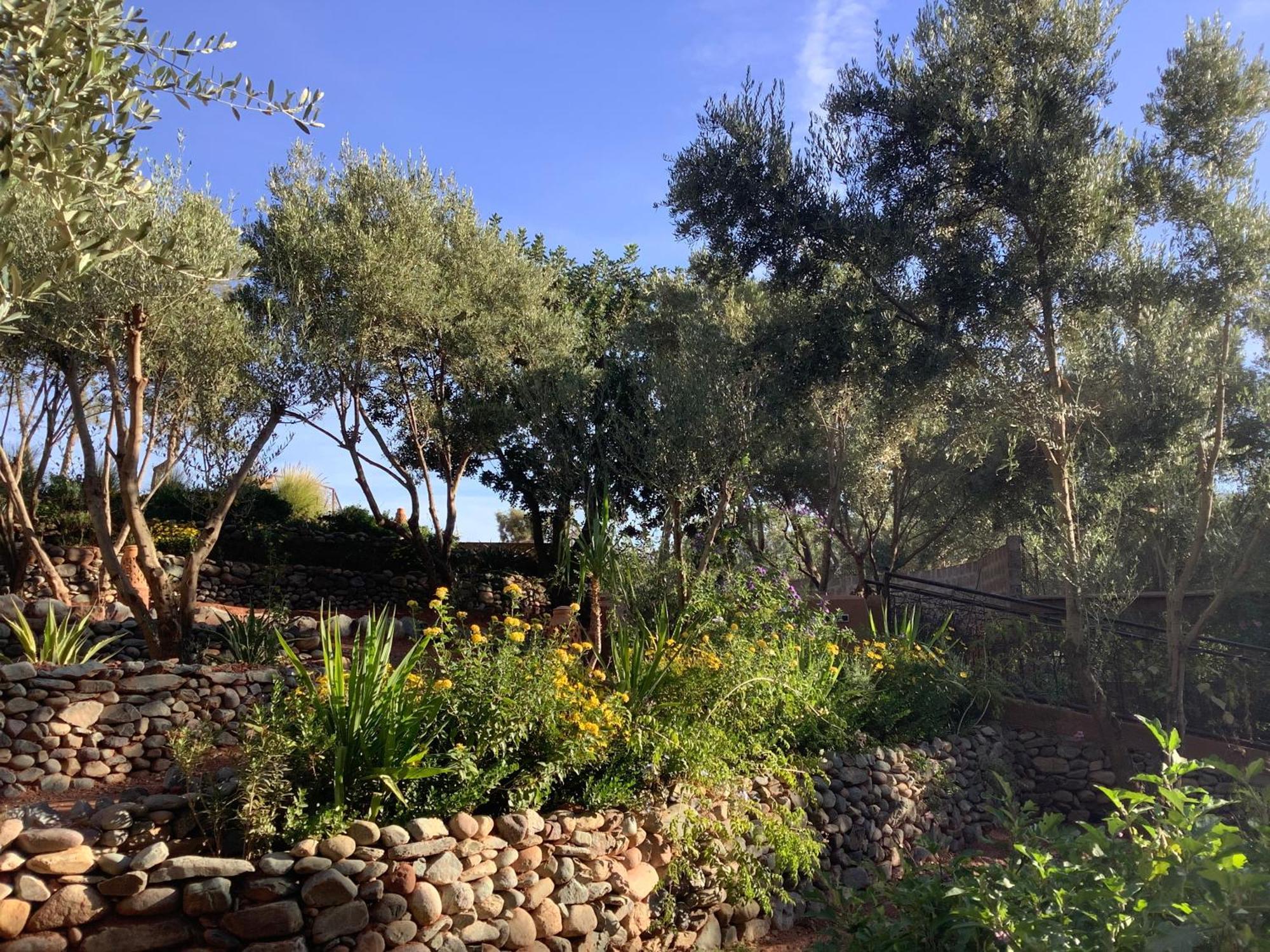 Dar Arraha Ouirgane Hotell Exteriör bild